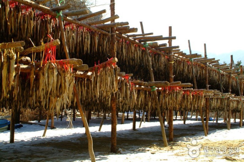 Inje Hwangtae Village (인제 황태마을) (12/12)
