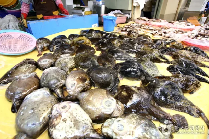 Gangneung Jungang Market  (7/10)