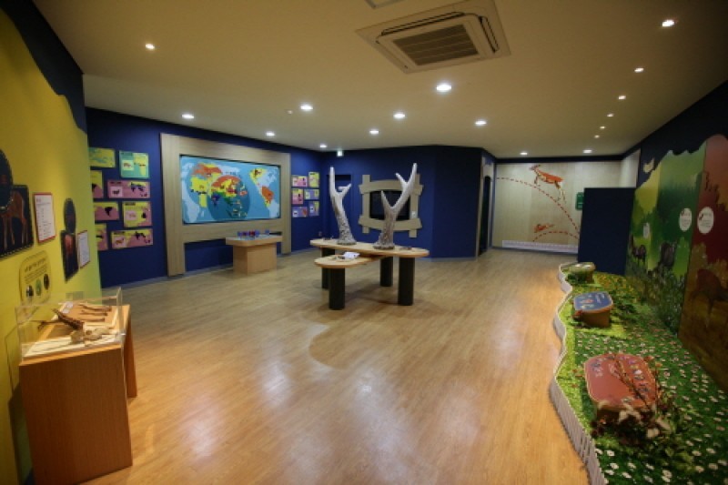 Roe Deer Observation Center  (2/4)