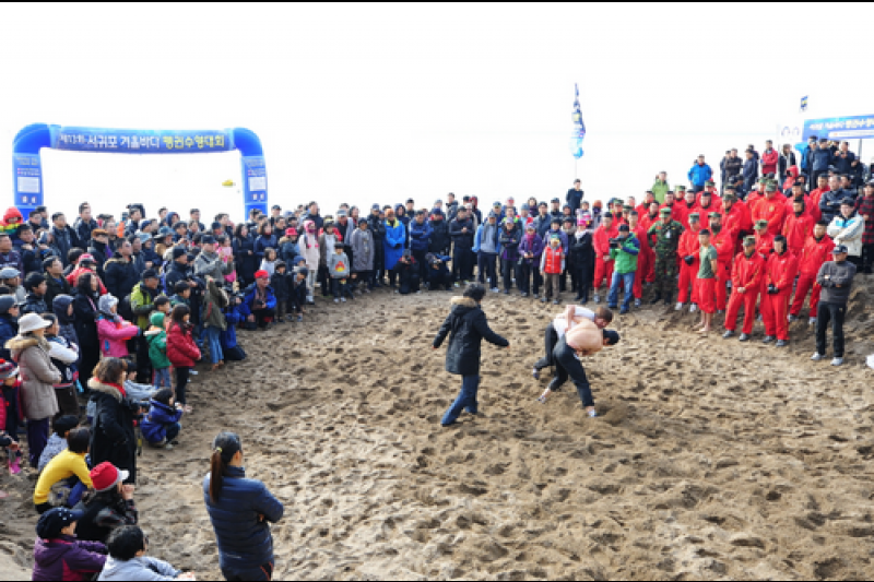 Seogwipo Penguin Swimming Festival  (1/10)