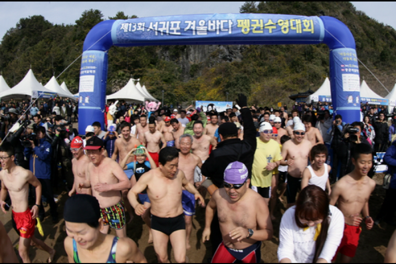 Seogwipo Penguin Swimming Festival  (2/10)