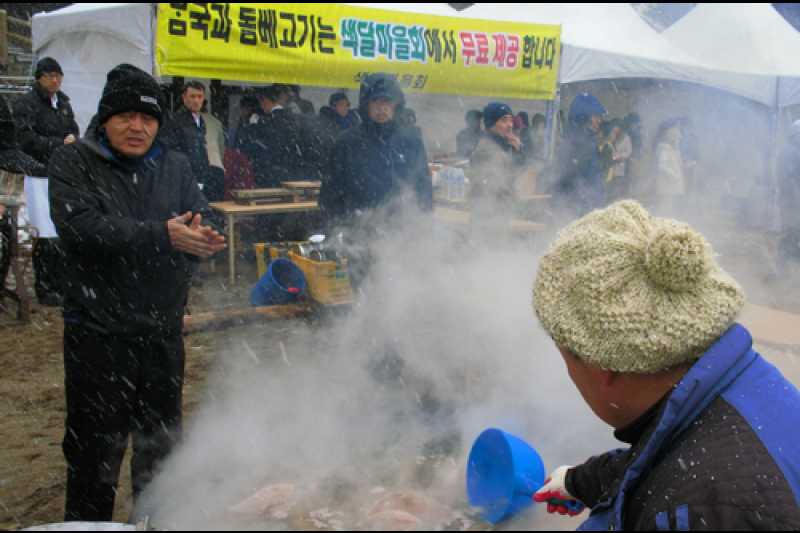 Seogwipo Penguin Swimming Festival  (4/10)