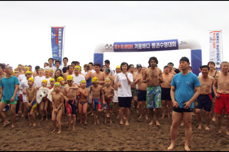 Seogwipo Penguin Swimming Festival  (7/10)