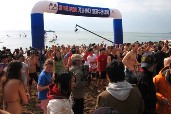 Seogwipo Penguin Swimming Festival