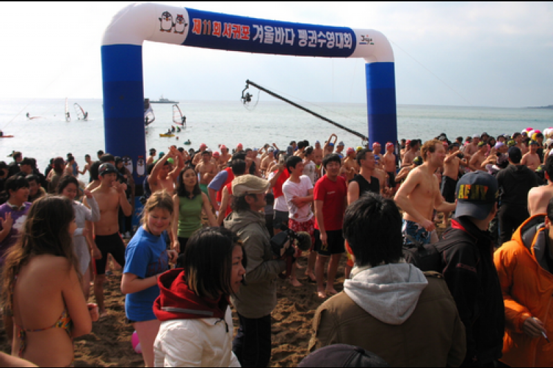 Seogwipo Penguin Swimming Festival  (8/10)