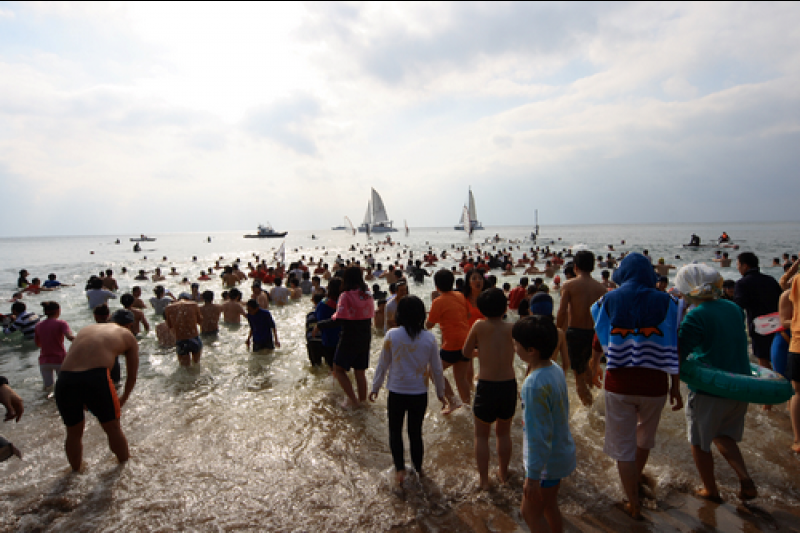 Seogwipo Penguin Swimming Festival  (9/10)