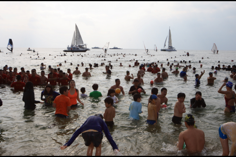 Seogwipo Penguin Swimming Festival  (10/10)