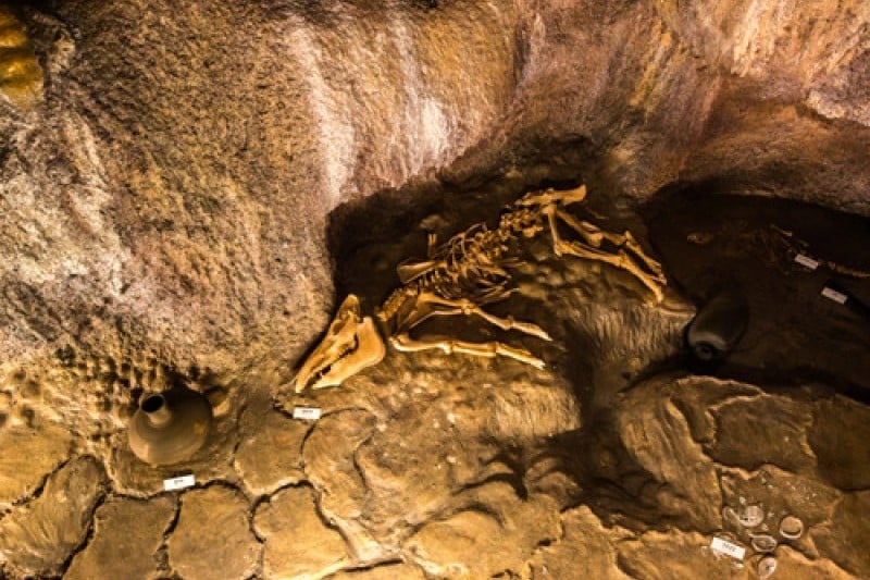 Jeju World Natural Heritage Center  (3/12)