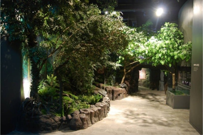 Jeju World Natural Heritage Center  (4/12)