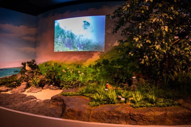 Jeju World Natural Heritage Center  (5/12)