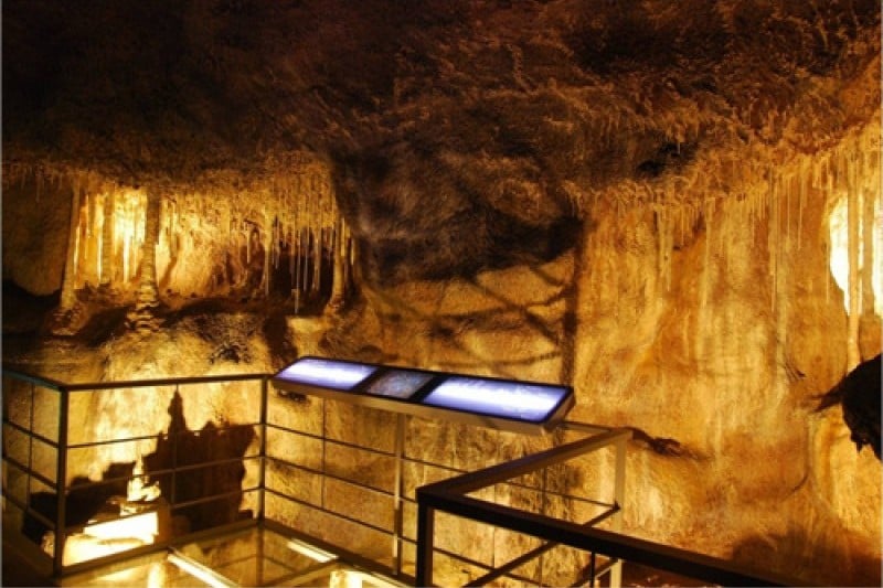 Jeju World Natural Heritage Center  (8/12)