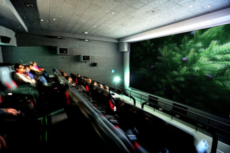 Jeju World Natural Heritage Center  (11/12)