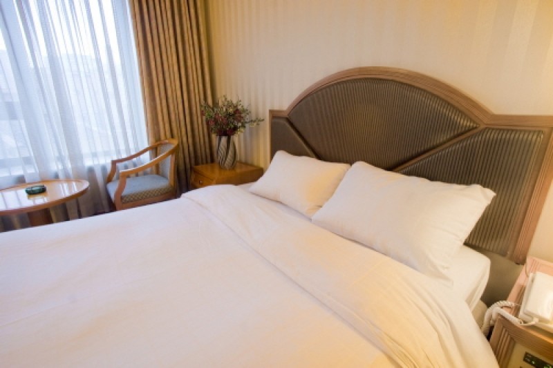 Seoul Rex Hotel  (8/16)