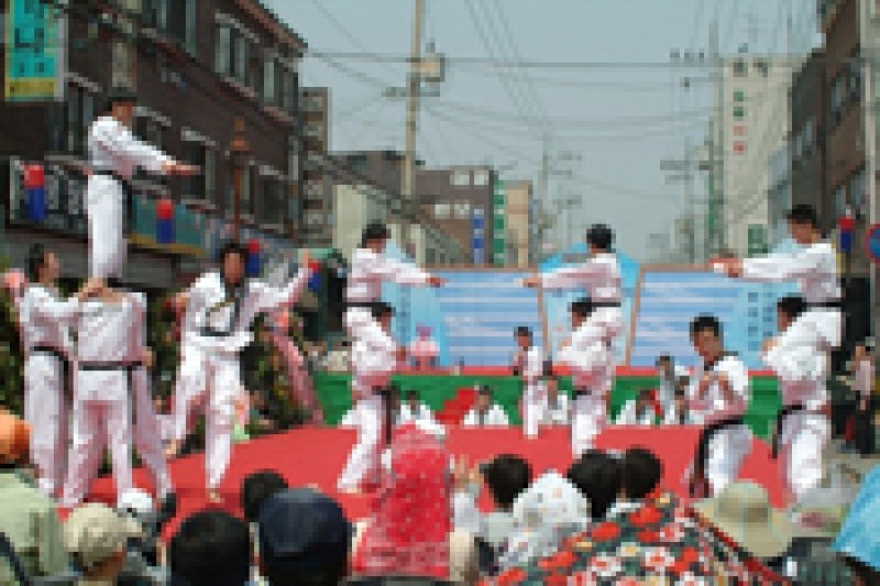 Seoul Yangnyeongsi Herb Medicine Culture Festival  (5/10)