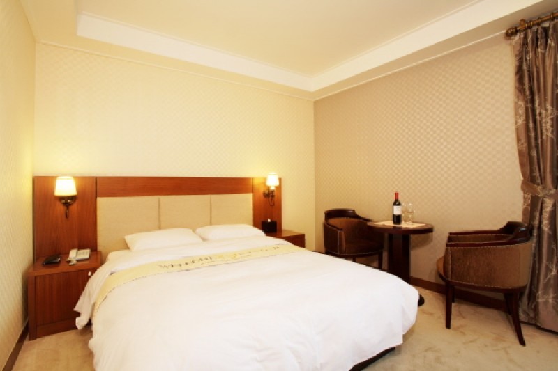 Hotel Vision  (7/16)