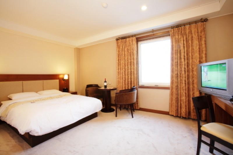 Hotel Vision  (8/16)