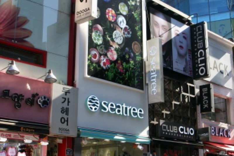 Seatree - Myeong-dong 1st Branch  (8/14)