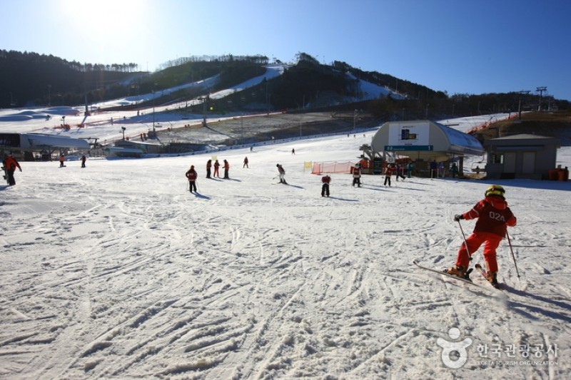 Alpensia Resort  (5/13)