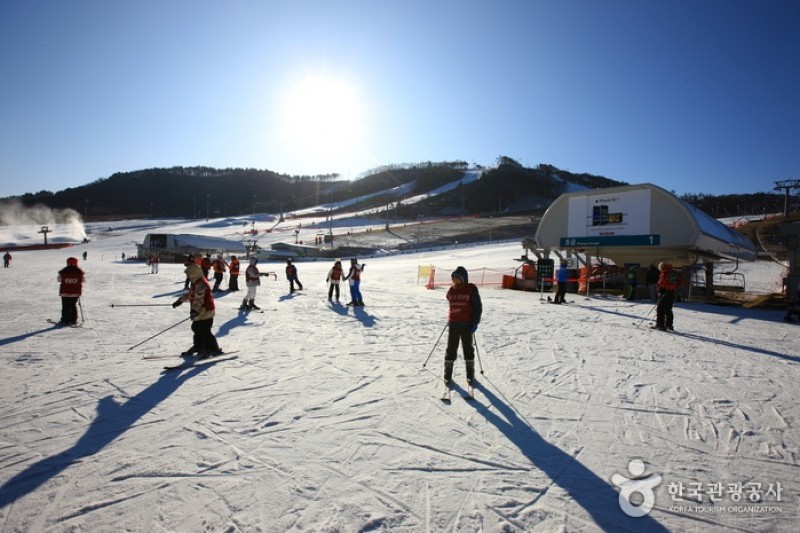 Alpensia Resort  (7/13)