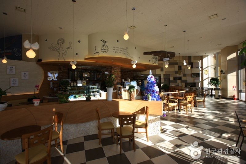Alpensia Resort  (11/13)