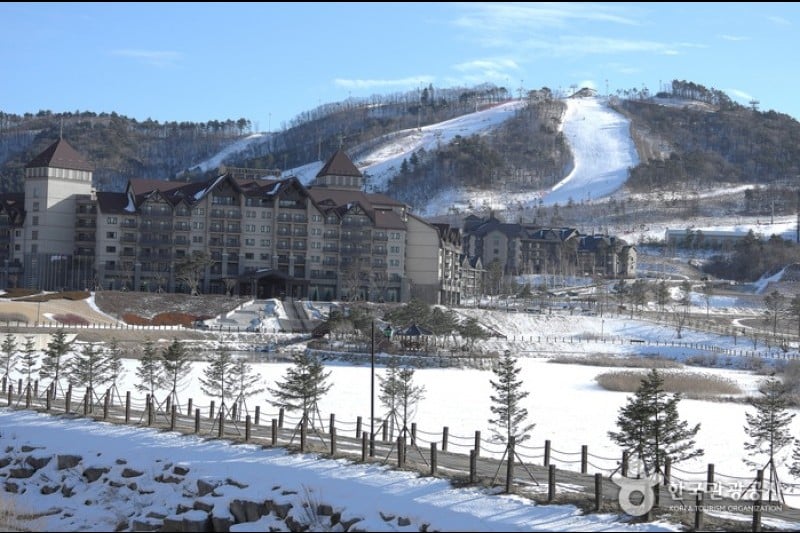 Alpensia Resort  (13/13)