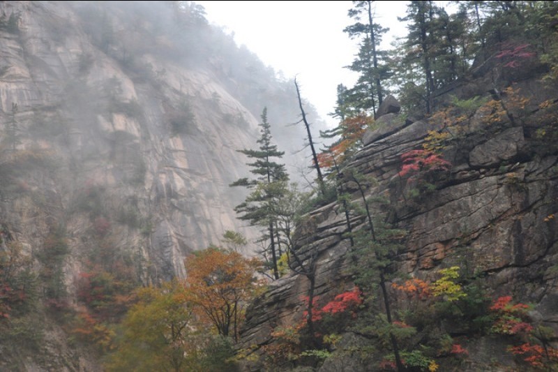 Cheonbuldong Valley  (4/4)