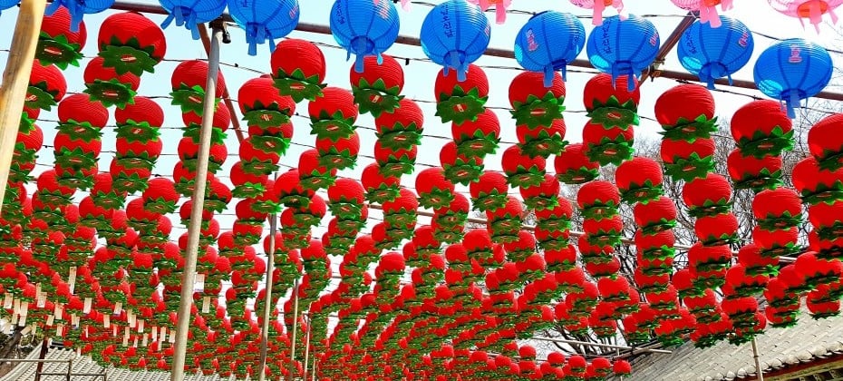 Jeondeungsa Temple Stay  (3/19)