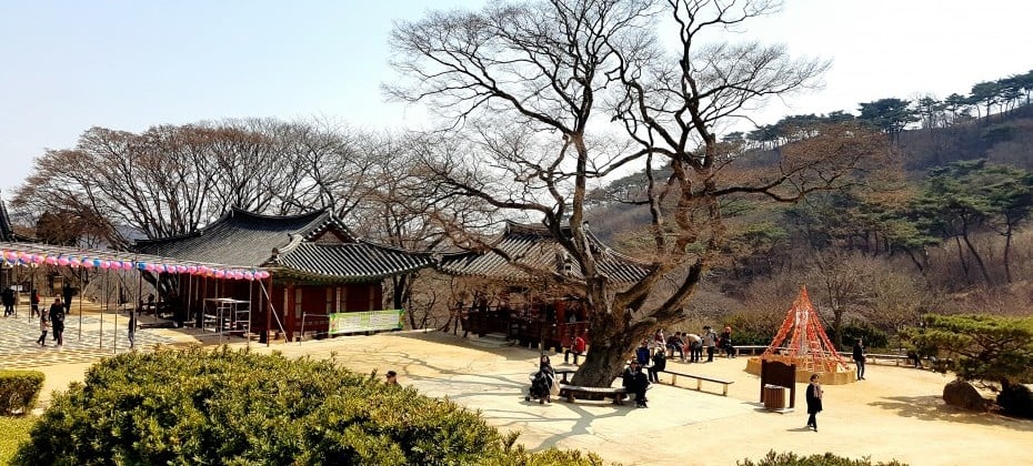 Jeondeungsa Temple Stay  (16/19)