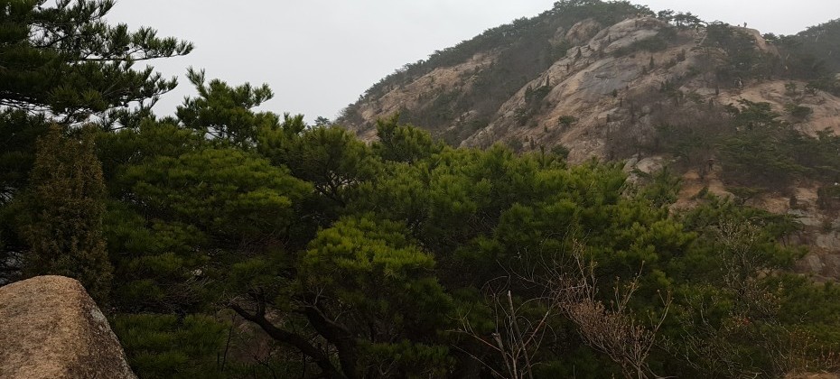 Bukhansan National Park (Seoul) (12/48)