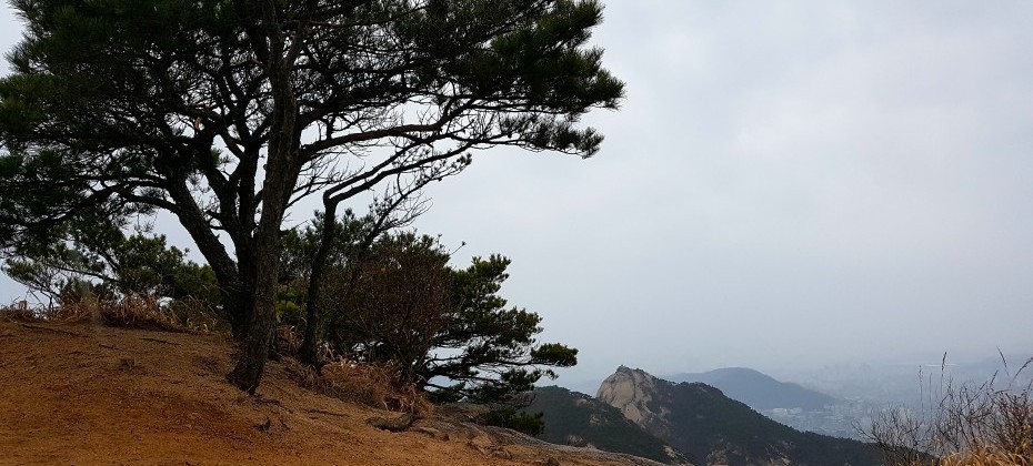 Bukhansan National Park (Seoul) (13/48)