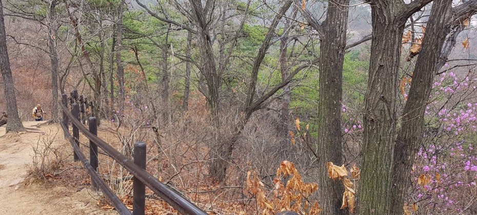 Bukhansan National Park (Seoul) (16/48)