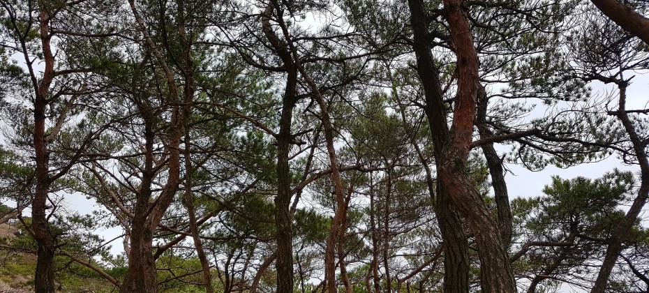 Bukhansan National Park (Seoul) (17/48)