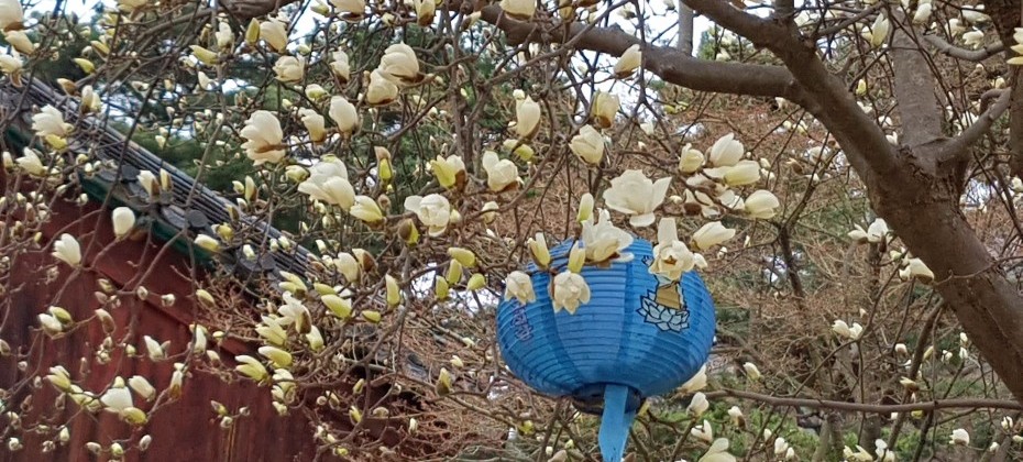 Bukhansan National Park (Seoul) (23/48)
