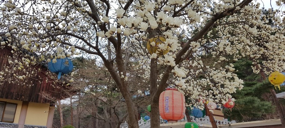 Bukhansan National Park (Seoul) (28/48)