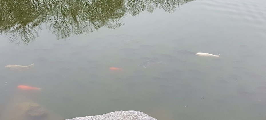 Bukhansan National Park (Seoul) (30/48)