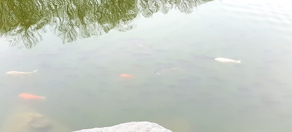Bukhansan National Park (Seoul) (34/48)