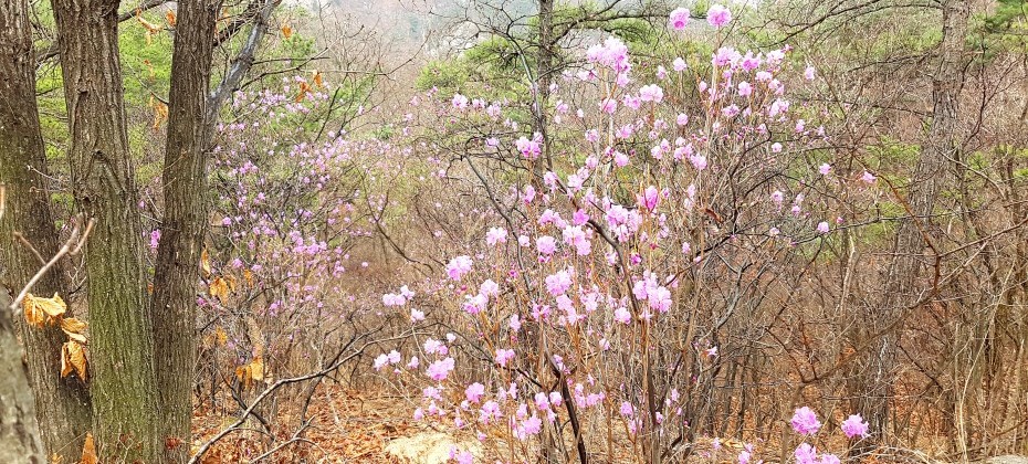 Bukhansan National Park (Seoul) (36/48)
