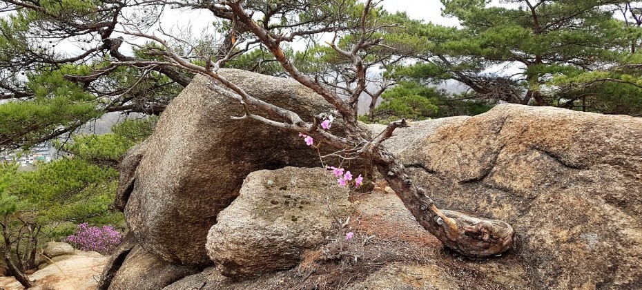 Bukhansan National Park (Seoul) (37/48)