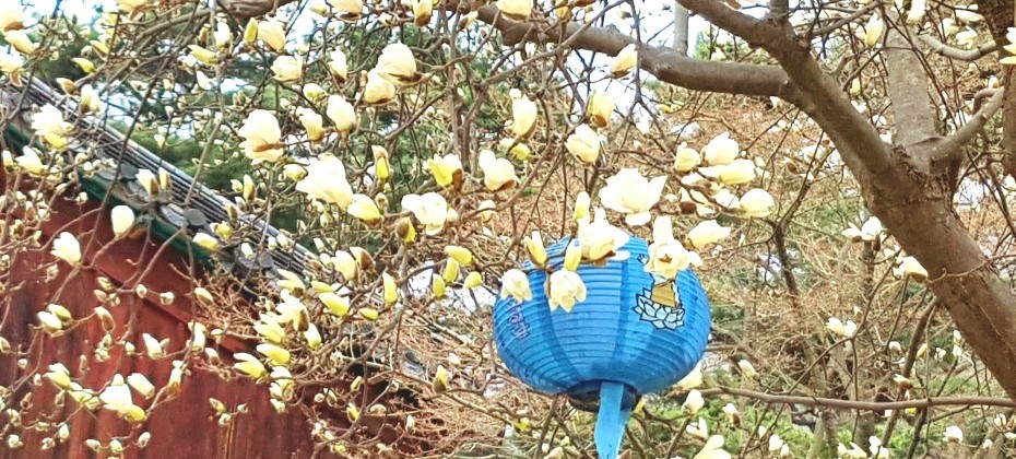 Bukhansan National Park (Seoul) (39/48)