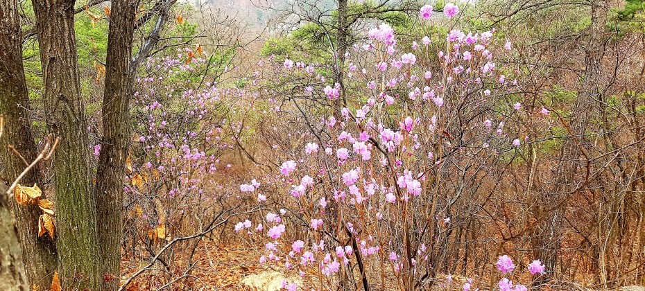 Bukhansan National Park (Seoul) (44/48)