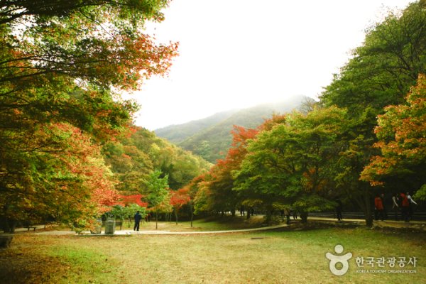 Naejangsan National Park