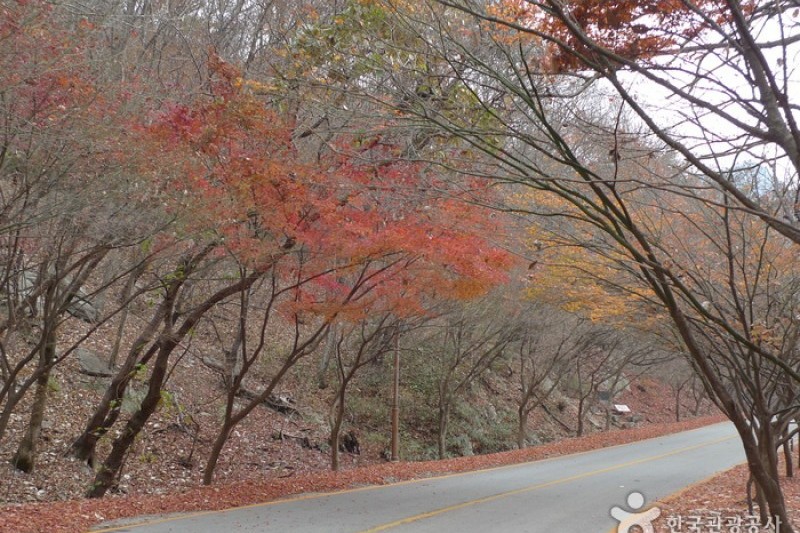 Naejangsan National Park  (2/40)
