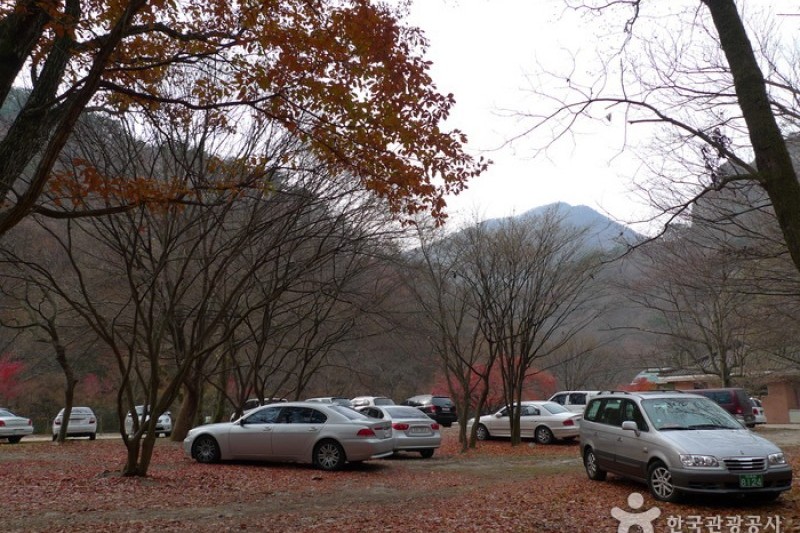 Naejangsan National Park  (3/40)