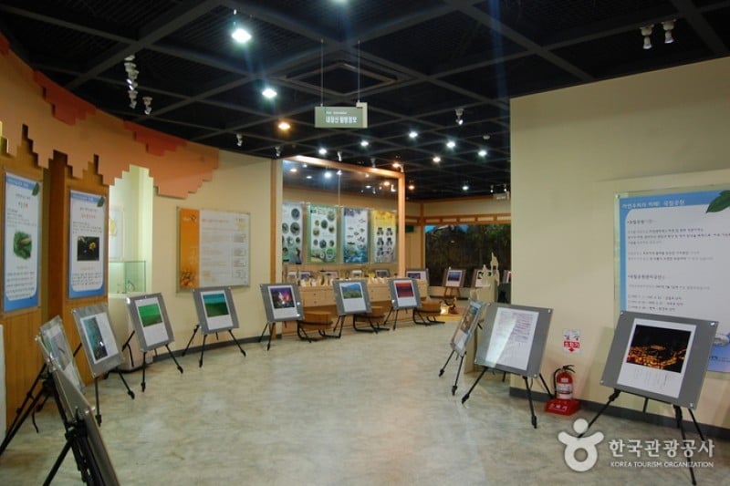 Naejangsan National Park  (6/40)
