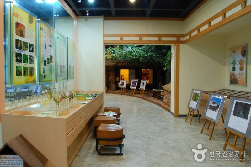 Naejangsan National Park  (7/40)