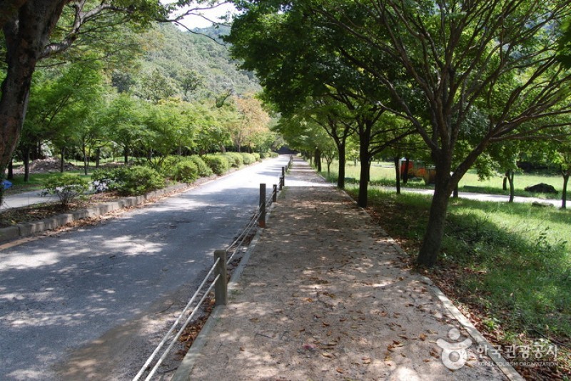 Naejangsan National Park  (12/40)