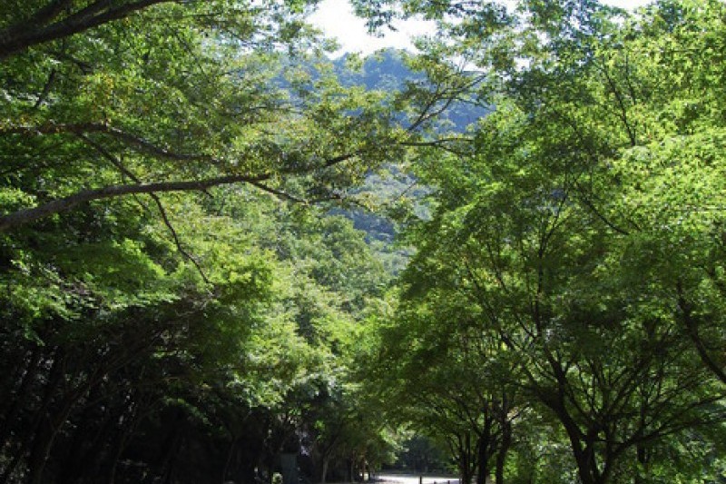 Naejangsan National Park  (13/40)