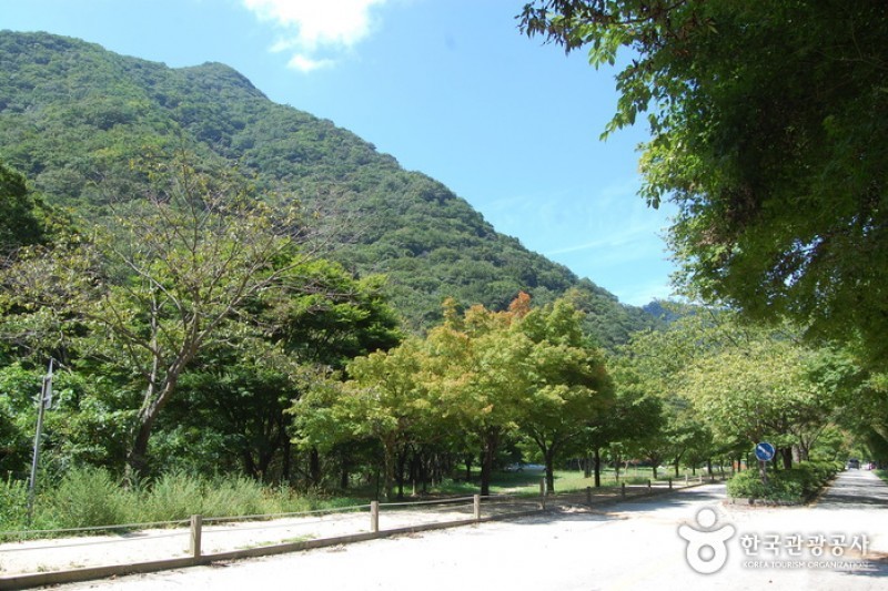 Naejangsan National Park  (14/40)