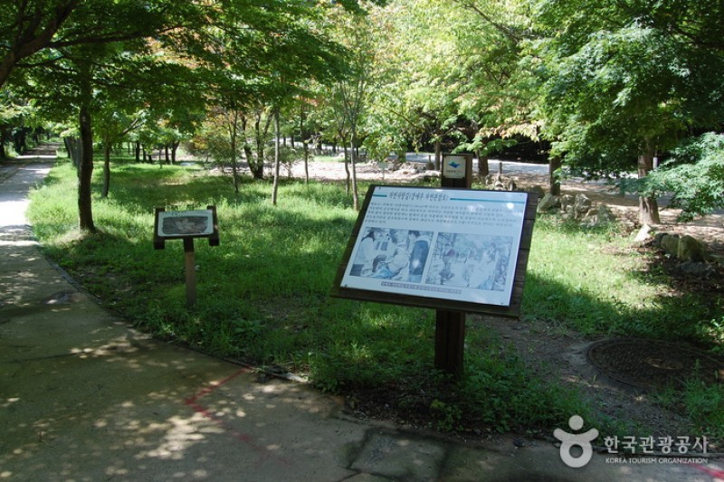 Naejangsan National Park  (16/40)