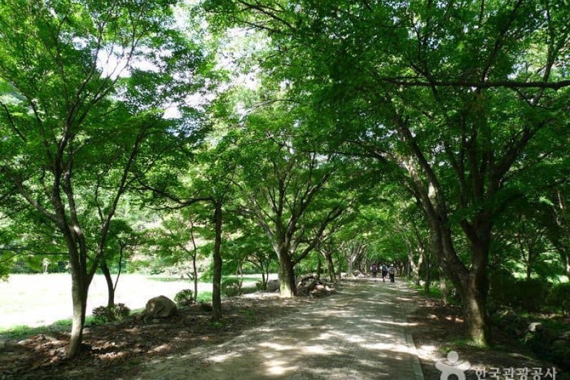 Naejangsan National Park  (17/40)